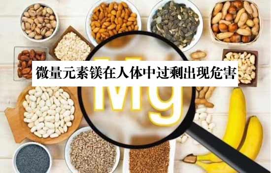 GK最新款自动微量元素检测仪