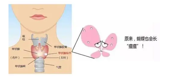 中医体质辨识仪系统