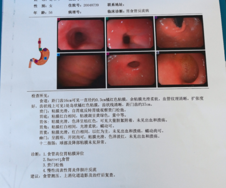 国产中医体质辨识仪厂